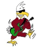 mascot ernie with sunglasses and guitar